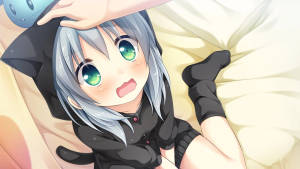 Anime-tyttö huppari Neko -taustakuva — Anime tyttö huppari Taustakuvat