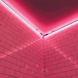 Neonpinkki estetiikka kuvia — Vaaleanpunainen esteettinen Taustakuvat