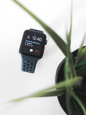 Apple Watch esteettisesti miellyttävä valokuva taustakuva — Apple Watch Taustakuvat