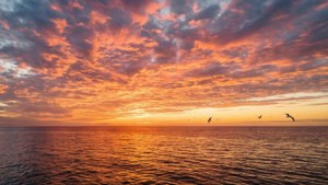 Upea auringonlasku meren yllä eloisilla väreillä ja heijastuksilla. — Taivasnäkymä Taustakuvat