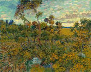 Auringonlasku Montmajourissa Van Gogh -museo