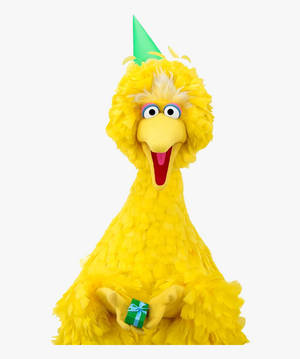 Big Bird Hyvää Syntymäpäivää -taustakuva — Motorola Razr Ultra 2025 Taustakuvat