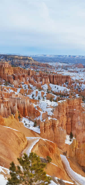 Bryce Canyonin kansallispuiston lumikuuro — Oppo Find X10 Taustakuvat