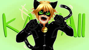 Cat Noir -kuvia