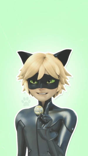 Cat Noir suloinen ele -taustakuva — Cat Noir Taustakuvat