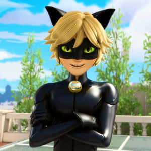 Cat Noir -kuvia — Cat Noir Taustakuvat