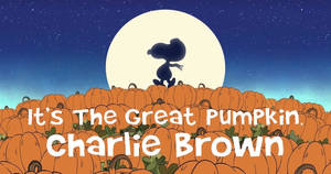 Charlie Brown Halloween Kurpitsat taustakuva — Juhannus Taustakuvat