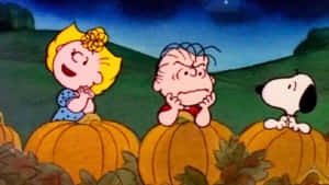 Charlie Brown Halloween kuvat — Juhannus Taustakuvat