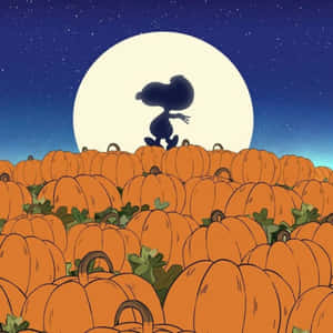 Charlie Brown Halloween kuvat — Juhannus Taustakuvat