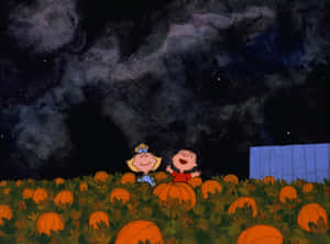 Charlie Brown Halloween kuvat — Juhannus Taustakuvat