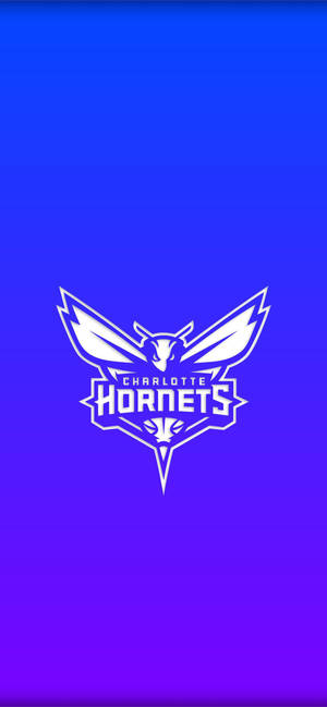 Charlotte Hornets Gradient Sininen taustakuva — iPhone 17 Taustakuvat