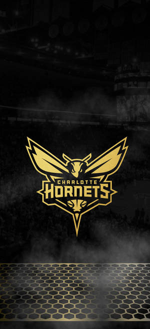Charlotte Hornets mustana taustakuva — iPhone 17 Pro Taustakuvat