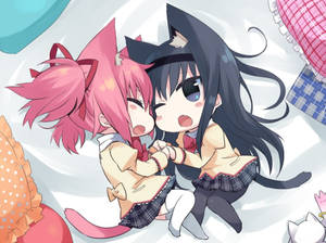 Chibi-kissa anime lesbot -taustakuva — Anime lesbo Taustakuvat