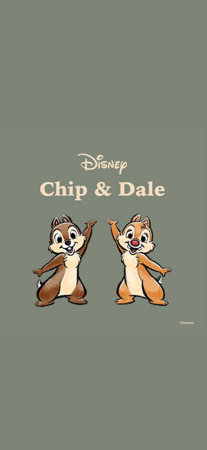 Chip N Dale harmaalla taustalla -taustakuva — Huawei Pura 80 Pro Taustakuvat