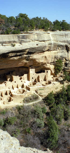 Cliff Palace Tan Väri Mesa Verde National Park — Vivo X300 Ultra Taustakuvat