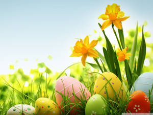 Colorful Easter eggs with yellow flowers for happy Easter festive, Easter wallpaper — 4:3 Taustakuvat