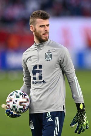 David De Gea harmaa espanjalainen peliasu — Huawei MatePad Air (2025) Taustakuvat