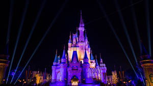 Disneyworld yöllä