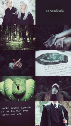 Draco Malfoy -rakastavaisten estetiikka — Slytherin estetiikka Taustakuvat
