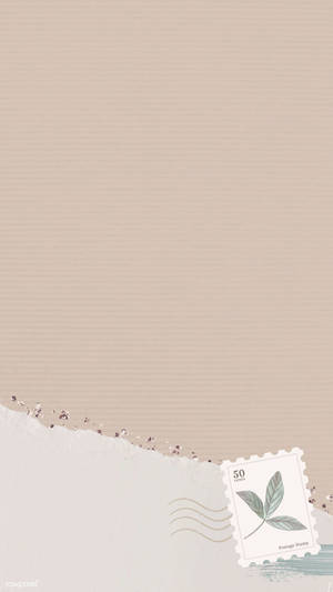 Esteettinen beige vektoripaperi — Minimalistinen estetiikka Taustakuvat
