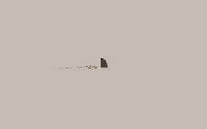 Esteettinen minimalistinen tausta — Esteettinen minimalistinen GIF Taustakuvat