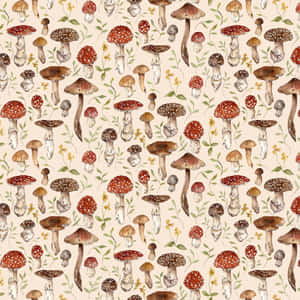 Esteettinen vintage suloinen sieni beige — Sieni-estetiikka Taustakuvat