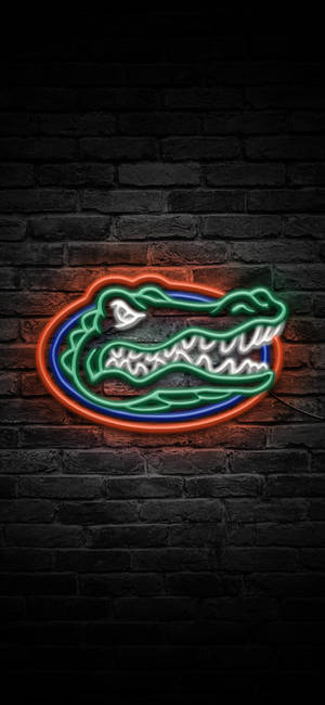 Florida Gators -logo neonvaloissa taustakuva — iPhone 11 Pro Taustakuvat