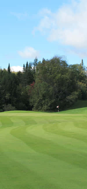 Iphone X golfkenttä tausta — POCO M Taustakuvat