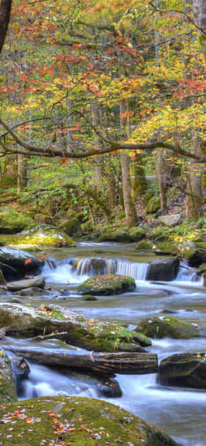 Great Smoky Mountains -kansallispuisto River Rocky — Redmi Note Taustakuvat