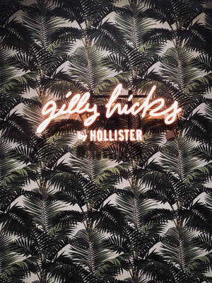 Hollister-palmunlehdet -taustakuva — 3:4 Taustakuvat