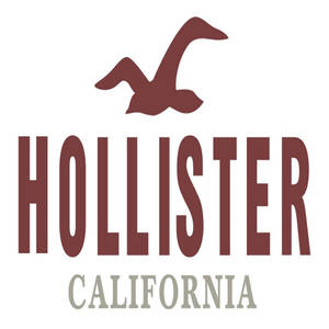Hollister classic logo -taustakuva — Pixel Watch 5 Taustakuvat