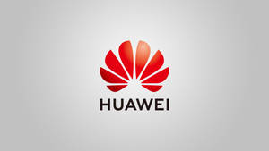Huawei Kiina brändi taide taustakuva — Huawei Taustakuvat