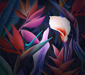 Huawei Mate 10 Pro -kukkataustakuva — Huawei Taustakuvat