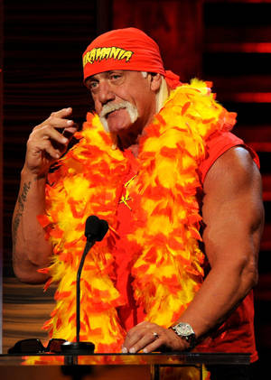 Hulk Hogan höyhenboalla -taustakuva — OnePlus Pad 2 Pro Taustakuvat