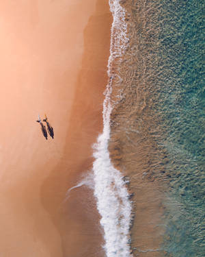 Ilmakuva Bondi Beach Australia taustakuva — iPhone 7 Taustakuvat