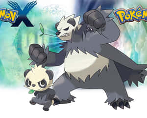 Intensiivinen taisteluhetki Panchamin ja Pangoron kanssa, Pokemon X ja Y