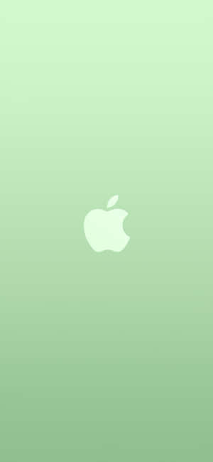 iPhone 11 Green — Xiaomi 18 Pro Max Taustakuvat