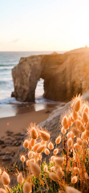 Iphone 12 Pro Max Beach Shore -taustakuva — iPhone 12 Pro Max Taustakuvat