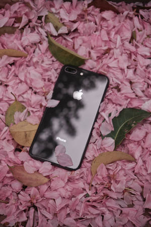 Iphone 8 Kukat