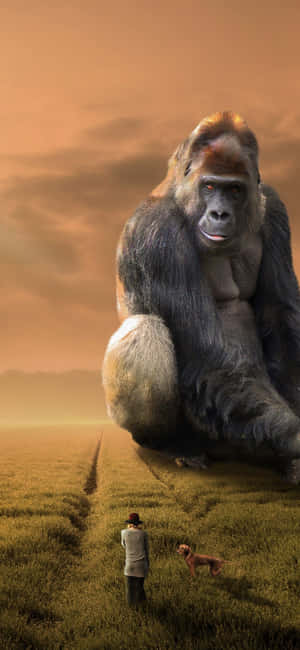 Iphone Xs Max Gorilla Taustakuva — Realme C Taustakuvat