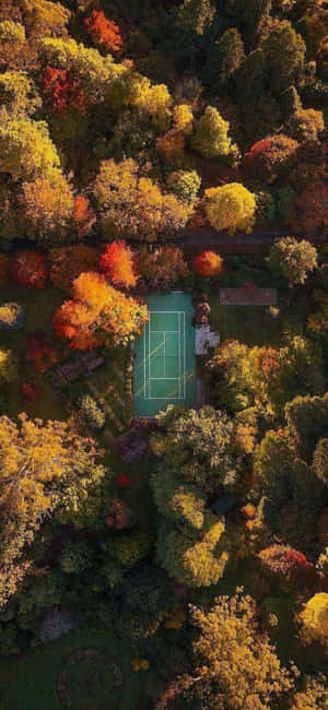 Iphone Xs Tennis Tausta — Realme Neo7x Taustakuvat