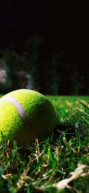 Iphone Xs Tennis Tausta — OnePlus N6 Lite Taustakuvat