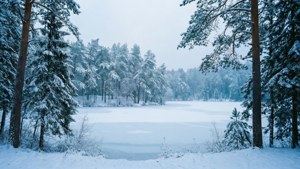 Luminen metsä ja jäätynyt järvi ultraleveässä talvimaisemassa.