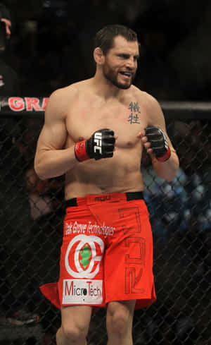 Jon Fitch seisoo kahdeksankulmiossa UFC 141 — Pixel Tablet Taustakuvat