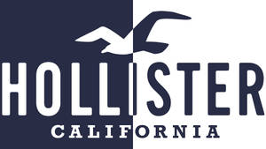 Kaksisävyinen Hollister-logo -taustakuva — Yksinkertainen Taustakuvat
