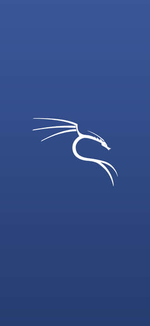 Kali Linux -taustakuva — Nubia Neo 5 Taustakuvat