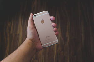 Käsi pitelee ruusukultaista iPhone 6 -taustakuvaa — iPhone Se Taustakuvat