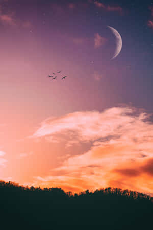 Kauniita kuvia — Honor MagicPad 3 Pro Taustakuvat