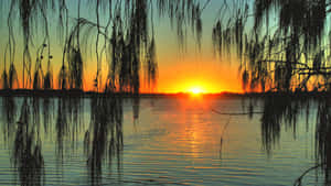 Auringonnousutausta