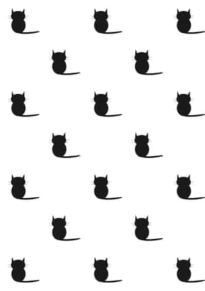 Mustan kissan kuvia — Cat Noir Taustakuvat